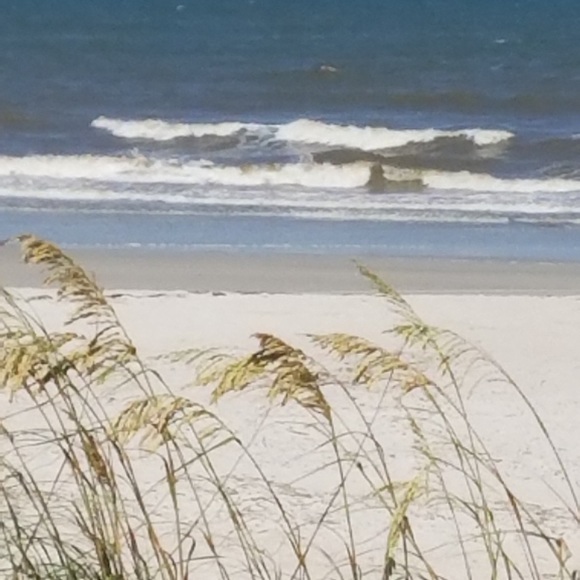 Meet your Posher, Pauline - Picture 8 of 9